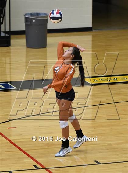 Thumbnail 2 in Madison vs Judson (Littleton Gym) photogallery.