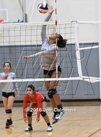 Thumbnail 1 in Madison vs Judson (Littleton Gym) photogallery.