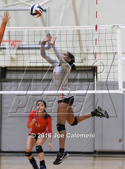 Thumbnail 2 in Madison vs Judson (Littleton Gym) photogallery.