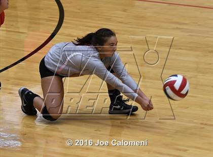 Thumbnail 1 in Madison vs Judson (Littleton Gym) photogallery.