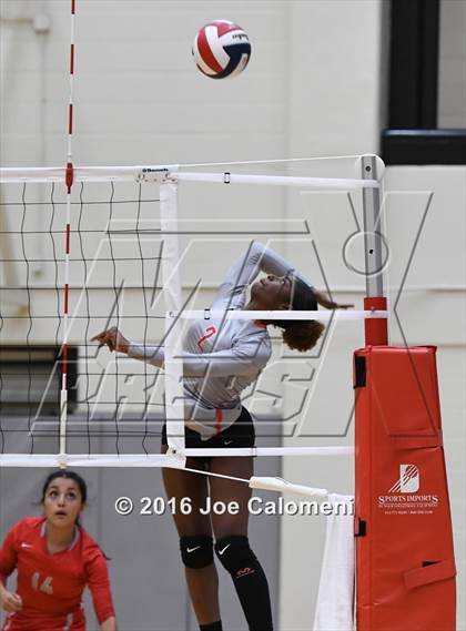 Thumbnail 2 in Madison vs Judson (Littleton Gym) photogallery.