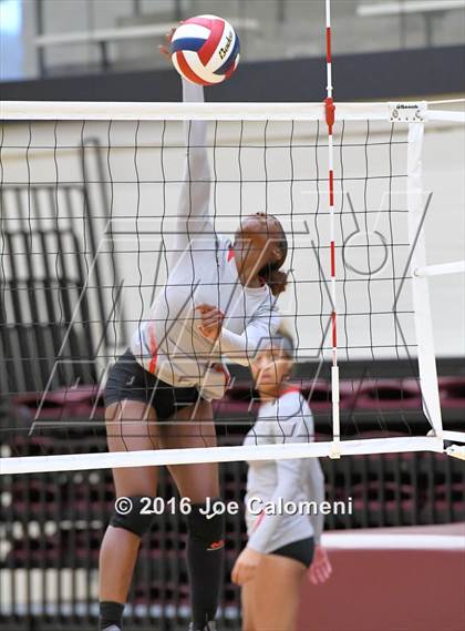 Thumbnail 1 in Madison vs Judson (Littleton Gym) photogallery.