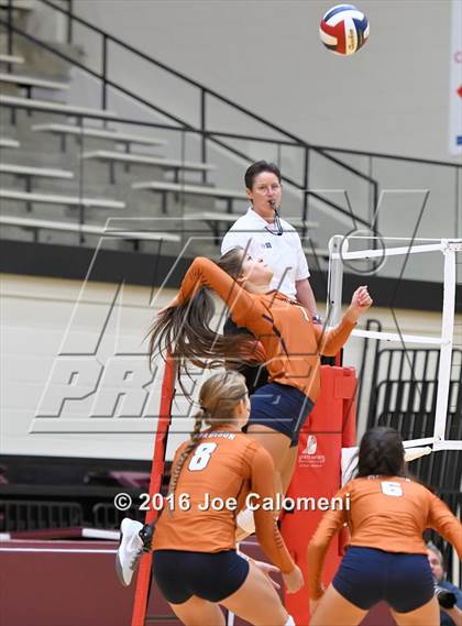 Thumbnail 1 in Madison vs Judson (Littleton Gym) photogallery.