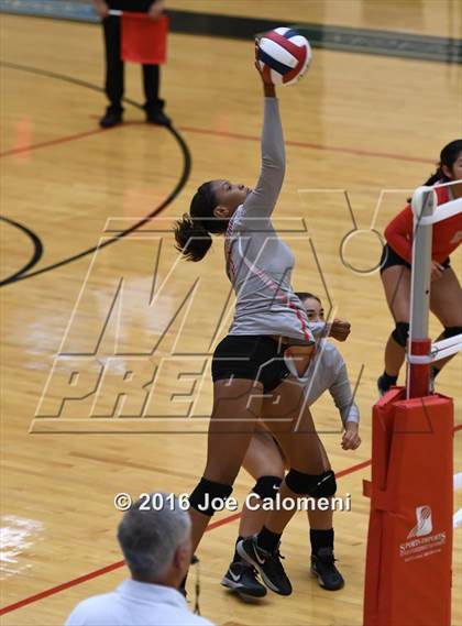 Thumbnail 1 in Madison vs Judson (Littleton Gym) photogallery.