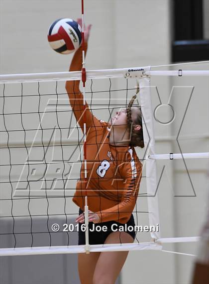 Thumbnail 1 in Madison vs Judson (Littleton Gym) photogallery.