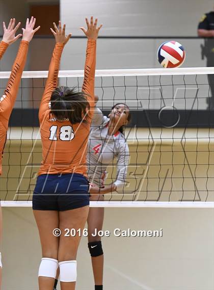 Thumbnail 1 in Madison vs Judson (Littleton Gym) photogallery.
