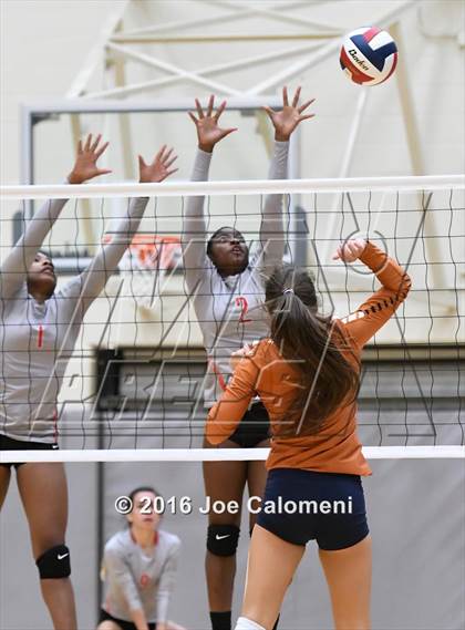 Thumbnail 1 in Madison vs Judson (Littleton Gym) photogallery.