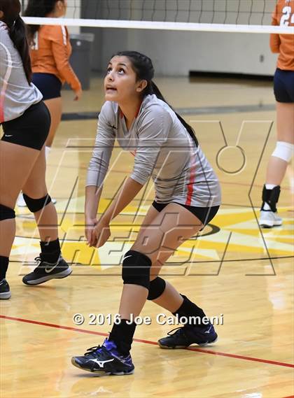 Thumbnail 1 in Madison vs Judson (Littleton Gym) photogallery.