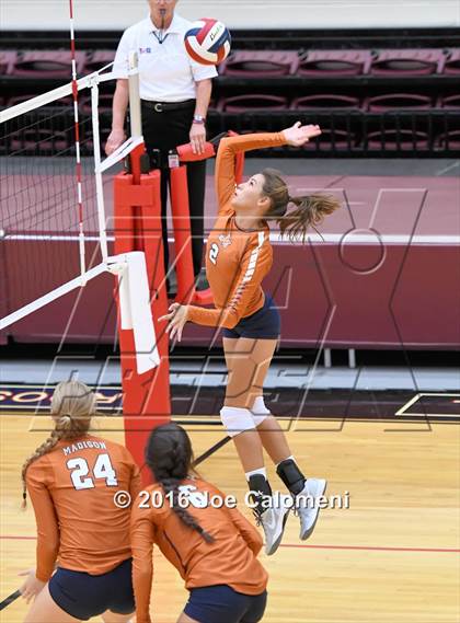 Thumbnail 3 in Madison vs Judson (Littleton Gym) photogallery.