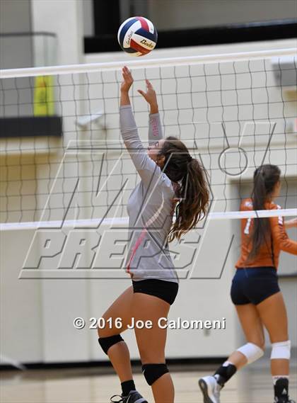 Thumbnail 3 in Madison vs Judson (Littleton Gym) photogallery.