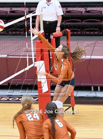 Thumbnail 1 in Madison vs Judson (Littleton Gym) photogallery.