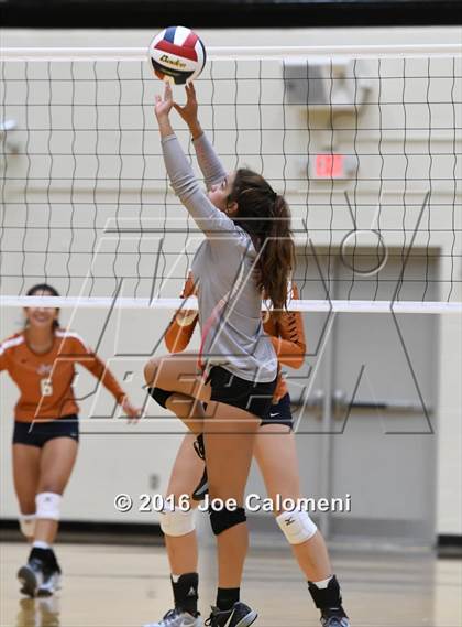Thumbnail 1 in Madison vs Judson (Littleton Gym) photogallery.