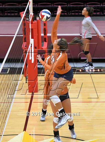 Thumbnail 1 in Madison vs Judson (Littleton Gym) photogallery.