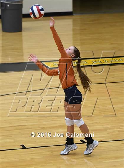 Thumbnail 1 in Madison vs Judson (Littleton Gym) photogallery.