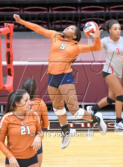 Thumbnail 2 in Madison vs Judson (Littleton Gym) photogallery.
