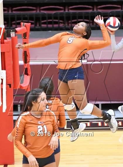 Thumbnail 3 in Madison vs Judson (Littleton Gym) photogallery.