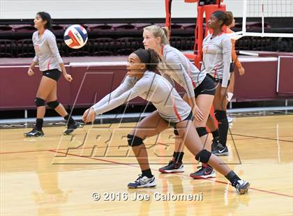 Thumbnail 1 in Madison vs Judson (Littleton Gym) photogallery.