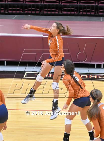 Thumbnail 1 in Madison vs Judson (Littleton Gym) photogallery.