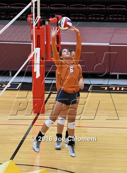 Thumbnail 1 in Madison vs Judson (Littleton Gym) photogallery.