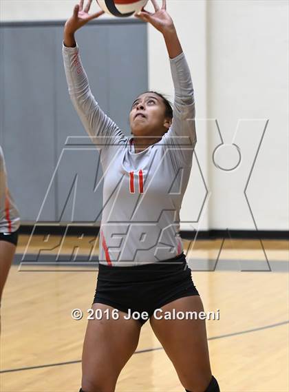 Thumbnail 2 in Madison vs Judson (Littleton Gym) photogallery.
