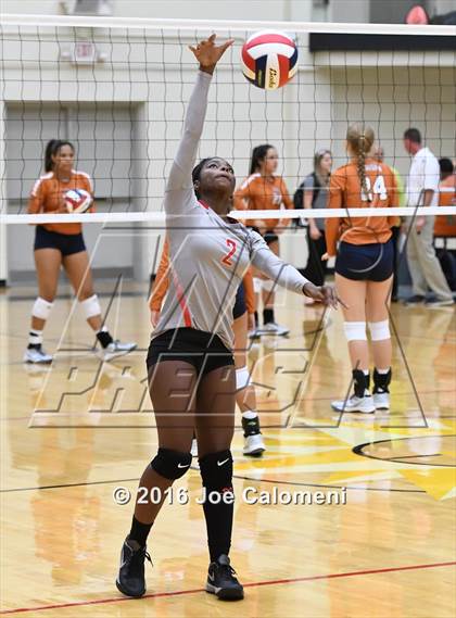 Thumbnail 3 in Madison vs Judson (Littleton Gym) photogallery.