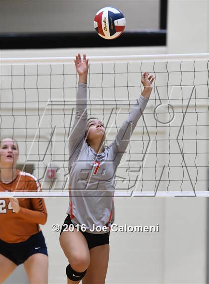 Thumbnail 1 in Madison vs Judson (Littleton Gym) photogallery.