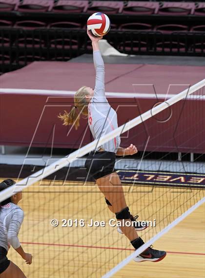 Thumbnail 3 in Madison vs Judson (Littleton Gym) photogallery.