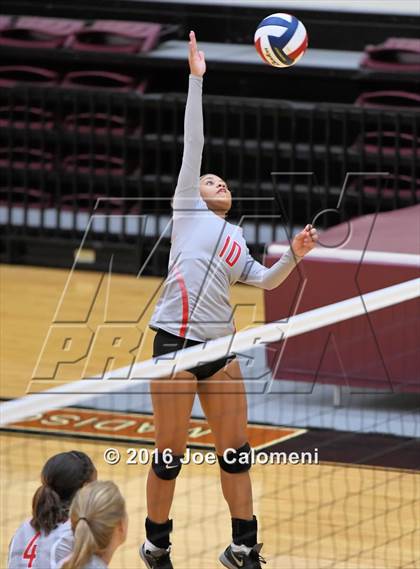 Thumbnail 1 in Madison vs Judson (Littleton Gym) photogallery.