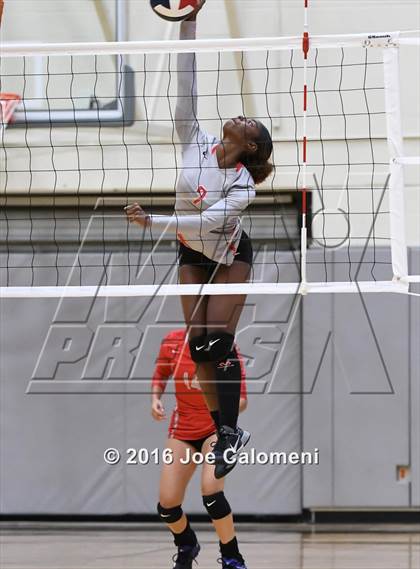 Thumbnail 3 in Madison vs Judson (Littleton Gym) photogallery.