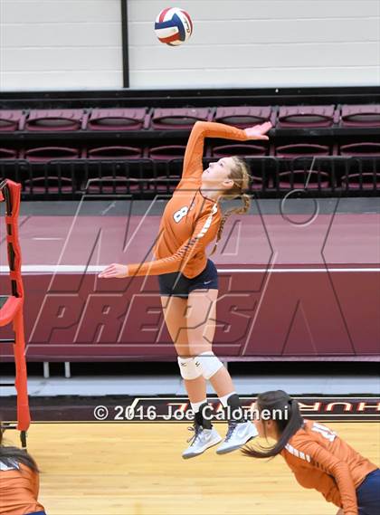 Thumbnail 1 in Madison vs Judson (Littleton Gym) photogallery.