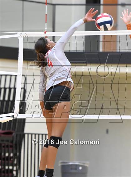 Thumbnail 2 in Madison vs Judson (Littleton Gym) photogallery.