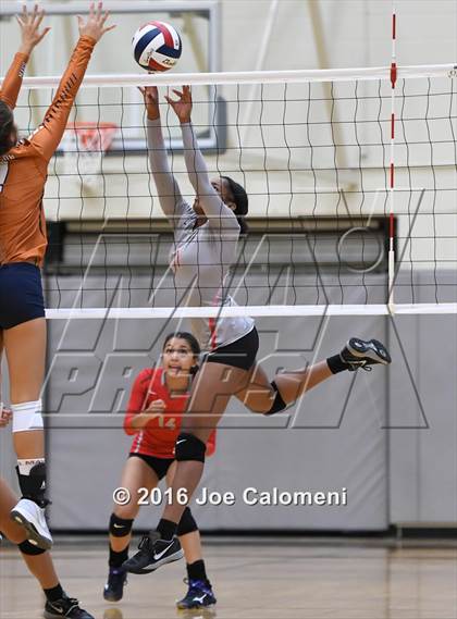 Thumbnail 3 in Madison vs Judson (Littleton Gym) photogallery.