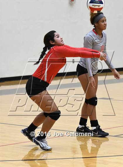 Thumbnail 1 in Madison vs Judson (Littleton Gym) photogallery.