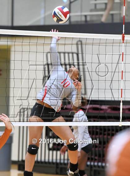 Thumbnail 1 in Madison vs Judson (Littleton Gym) photogallery.