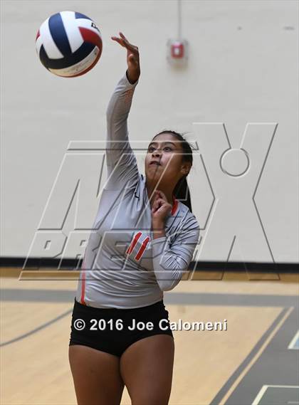Thumbnail 1 in Madison vs Judson (Littleton Gym) photogallery.