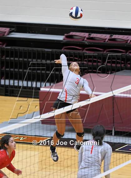 Thumbnail 2 in Madison vs Judson (Littleton Gym) photogallery.