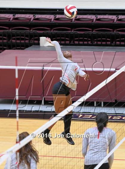 Thumbnail 2 in Madison vs Judson (Littleton Gym) photogallery.