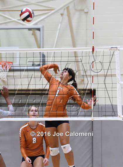 Thumbnail 2 in Madison vs Judson (Littleton Gym) photogallery.