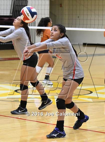Thumbnail 3 in Madison vs Judson (Littleton Gym) photogallery.