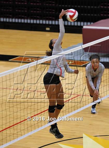Thumbnail 1 in Madison vs Judson (Littleton Gym) photogallery.