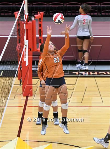 Thumbnail 3 in Madison vs Judson (Littleton Gym) photogallery.