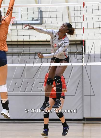 Thumbnail 1 in Madison vs Judson (Littleton Gym) photogallery.