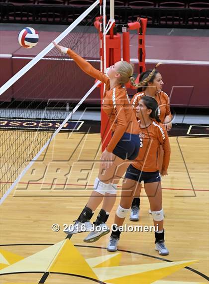 Thumbnail 3 in Madison vs Judson (Littleton Gym) photogallery.