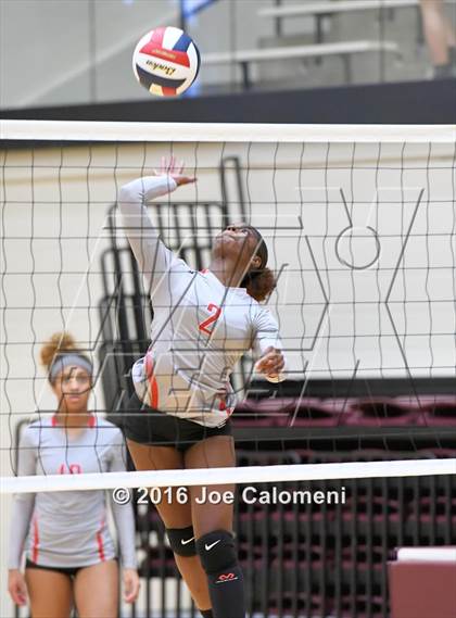 Thumbnail 3 in Madison vs Judson (Littleton Gym) photogallery.