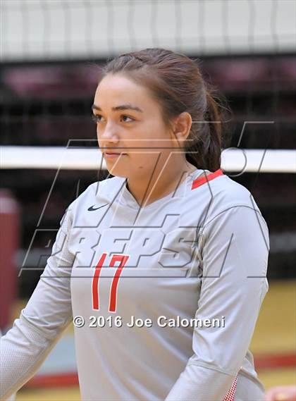 Thumbnail 3 in Madison vs Judson (Littleton Gym) photogallery.