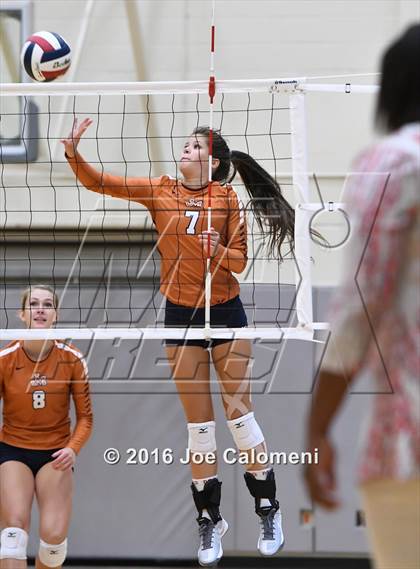 Thumbnail 3 in Madison vs Judson (Littleton Gym) photogallery.