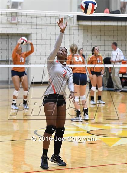 Thumbnail 2 in Madison vs Judson (Littleton Gym) photogallery.