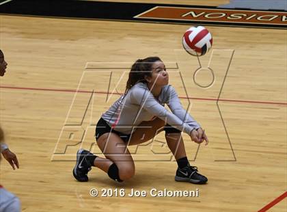 Thumbnail 2 in Madison vs Judson (Littleton Gym) photogallery.