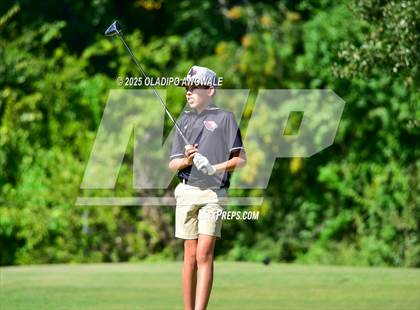 Thumbnail 2 in JV: GISD Invitational photogallery.