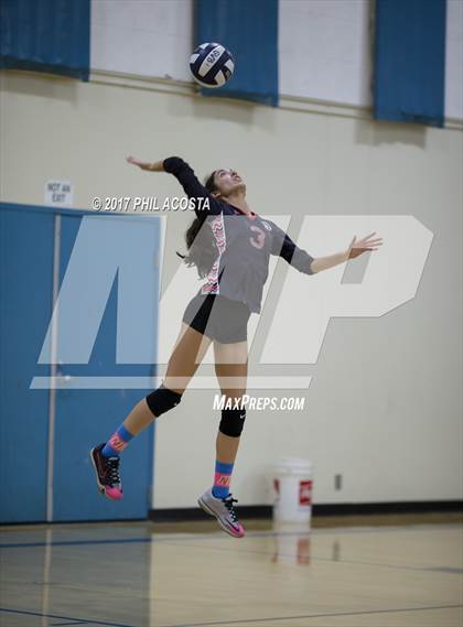 Thumbnail 3 in Gladstone vs Holy Family photogallery.